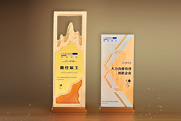 万象城AWC国际一举斩获“2024年度中国区最佳雇主”等多项大奖