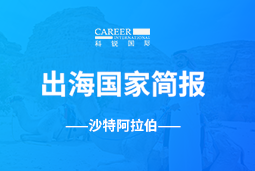 万象城AWCGO GLOBAL | 沙特阿拉伯国家简报